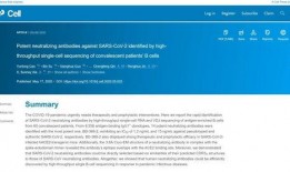 抗体 在线观看,探索免疫系统的守护者